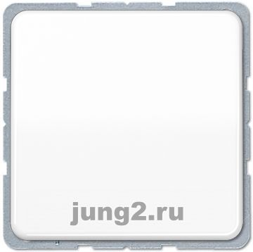   Jung CD     ()