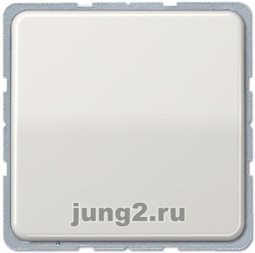  Jung CD     (-)