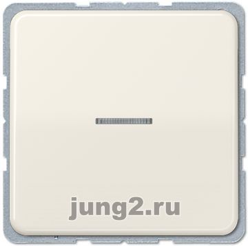   Jung CD         ( )