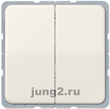   Jung CD     ( )