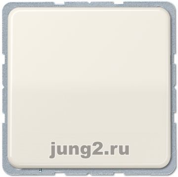   Jung CD     ( )