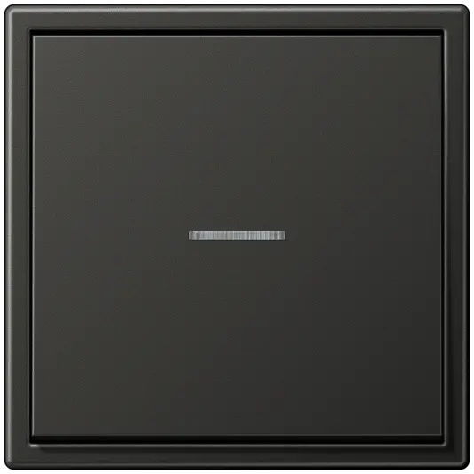 Розетки и выключатели Jung LS 990 - #1