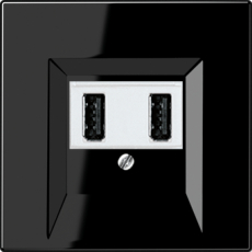Зарядное устройство USB Jung, USB-A x 2, 2A, белая панель (Чёрный)