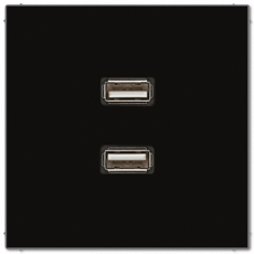 Розетка USB двойная Jung LS (Чёрный)