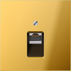 Jung Крышка для ординарной телефонной и компютерной розетки  UAE; металл цвета золота/JUNG EcoProfi Розетка компьютерная 1-ая, кат.6, UAE, неэкран