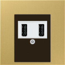 Зарядное устройство USB Jung, USB-A x 2, 2A, белая панель (Латунь)