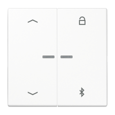   Bluetooth 