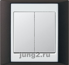  Jung A Plus -