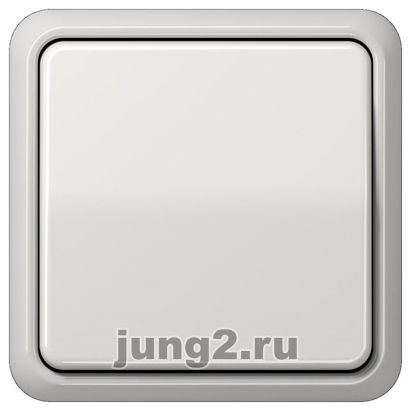 Jung CD -