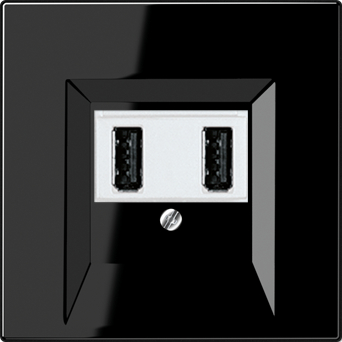  USB Jung, USB-A x 2, 2A,   (׸)